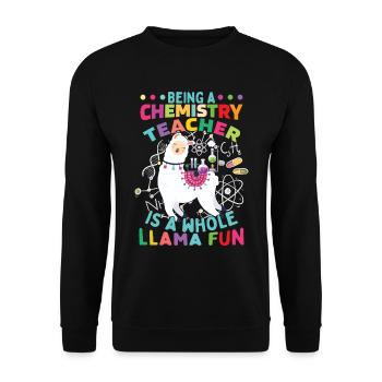 Être un professeur de chimie est un lam amusant - Sweat-shirt Unisexe - noir - Devant - Alina (178cm) & Michal (187cm)