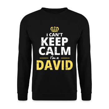 I'm A David - Unisex Sweatshirt - black - Front - Alina (178cm) & Michal (187cm)