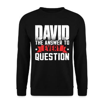 David The Answer To Every Question - Unisex Sweatshirt - black - Front - Alina (178cm) & Michal (187cm)