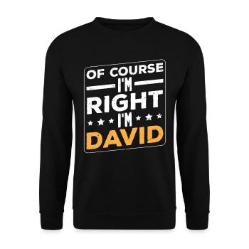 Im David - Unisex Sweatshirt - black - Front - Alina (178cm) & Michal (187cm)