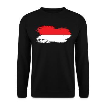 Indonesia - National flag, brush effect - Unisex Sweatshirt - black - Front - Alina (178cm) & Michal (187cm)