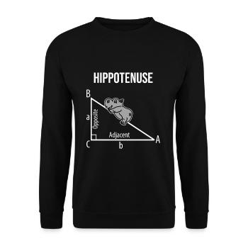 Hippopotamus math - Unisex Sweatshirt - black - Front - Alina (178cm) & Michal (187cm)