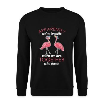 Flamingo - Unisex Pullover - Schwarz - Vorne - Alina (178cm) & Michal (187cm)