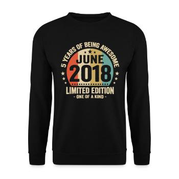 June 2018 5 years anniversary vintage gift idea - Unisex Sweatshirt - black - Front - Alina (178cm) & Michal (187cm)