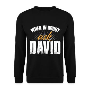 When In Doubt Ask David - Unisex Sweatshirt - black - Front - Alina (178cm) & Michal (187cm)