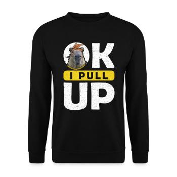 OK JE TIRE VERS LE HAUT capybara - Sweat-shirt Unisexe - noir - Devant - Alina (178cm) & Michal (187cm)