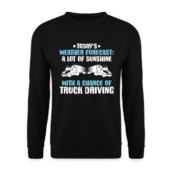 Truck driver Truck driver Professional driver Trucker - Unisex Sweatshirt - black - Front - Alina (178cm) & Michal (187cm)