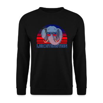 Liechtenstein - Unisex Pullover - Schwarz - Vorne - Alina (178cm) & Michal (187cm)