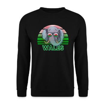 Wales - Unisex Sweatshirt - black - Front - Alina (178cm) & Michal (187cm)