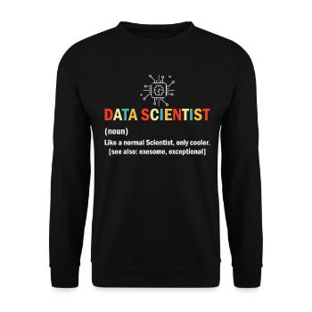 Data Scientist Drôle Définition Tableur Données - Sweat-shirt Unisexe - noir - Devant - Alina (178cm) & Michal (187cm)