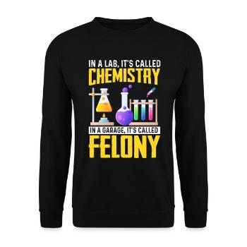 In A Lab It's Called Chemistry Garage Funny - Unisex Sweatshirt - black - Front - Alina (178cm) & Michal (187cm)