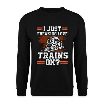 Zug Züge Modeleisenbahn Eisenbahn Geschenk - Unisex Pullover - Schwarz - Vorne - Alina (178cm) & Michal (187cm)