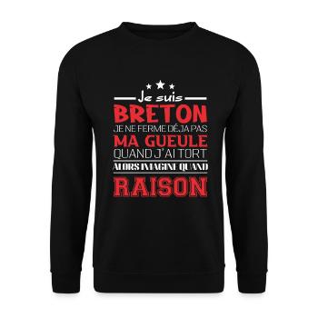 Je suis Breton - Sweat-shirt Unisexe - noir - Devant - Alina (178cm) & Michal (187cm)