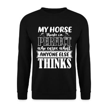 Mein Pferd denkt, ich bin perfekt, wen kümmert's, - Unisex Pullover - Schwarz - Vorne - Alina (178cm) & Michal (187cm)
