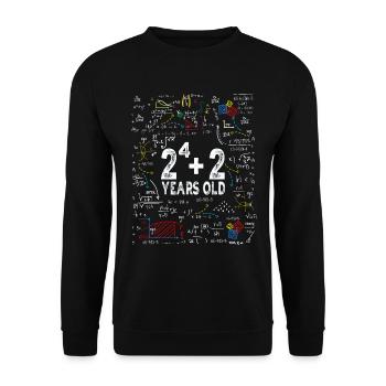 Deux à la puissance quatre = 18 ans - Mathématiques - Sweat-shirt Unisexe - noir - Devant - Alina (178cm) & Michal (187cm)