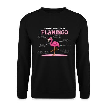 Anaotomy Of A Flamingo - Unisex Pullover - Schwarz - Vorne - Alina (178cm) & Michal (187cm)