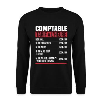 Buchhalter Stundensatz Humor Geschenkidee - Unisex Pullover - Schwarz - Vorne - Alina (178cm) & Michal (187cm)