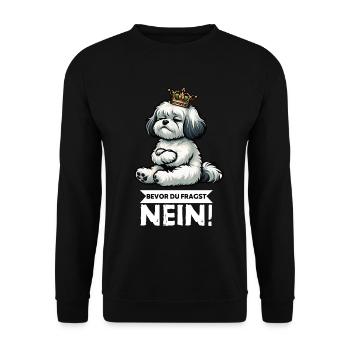 Avant que vous ne demandiez, aucun propriétaire havanais - Sweat-shirt Unisexe - noir - Devant - Alina (178cm) & Michal (187cm)