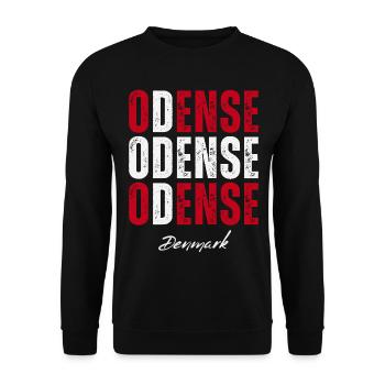 Odense in the Heart, Denmark present - Unisex Sweatshirt - black - Front - Alina (178cm) & Michal (187cm)