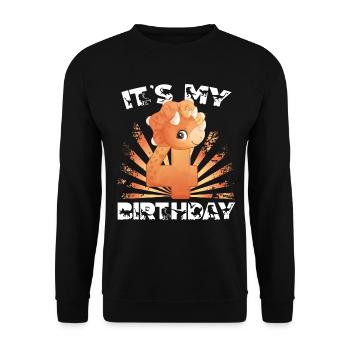 Its My Birthday, 4. Geburtstag, Happy Birthday - Unisex Pullover - Schwarz - Vorne - Alina (178cm) & Michal (187cm)