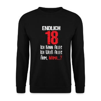 Endlich 18 Geburtstag Ich kann Alles ich weiß alle - Unisex Pullover - Schwarz - Vorne - Alina (178cm) & Michal (187cm)