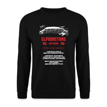 Egypt Red Sea Elphinstone Diving Gift - Unisex Sweatshirt - black - Front - Alina (178cm) & Michal (187cm)