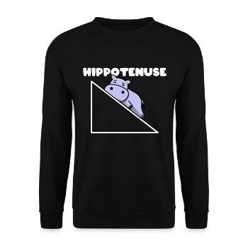 Hippotenuse Pythagoras Math Mathematician Teacher - Unisex Sweatshirt - black - Front - Alina (178cm) & Michal (187cm)