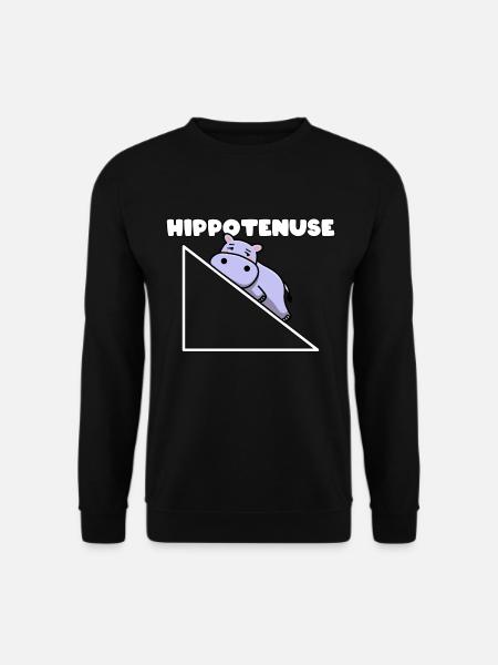 Hippotenuse Pythagoras Mathe Mathematiker Lehrer - Unisex Pullover - Schwarz