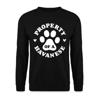 Propriété d’un bichon havanais - Sweat-shirt Unisexe - noir - Devant - Alina (178cm) & Michal (187cm)