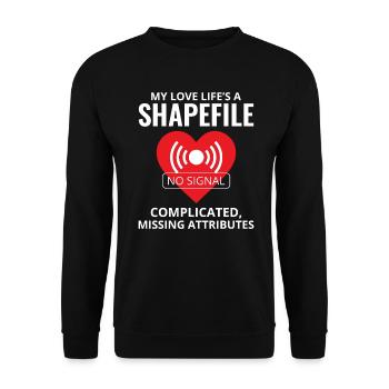 Shapefile GIS Humor Geospatial Technician - Unisex Sweatshirt - black - Front - Alina (178cm) & Michal (187cm)