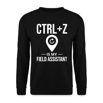 CTRL+Z Field Assistant Modification des données SIG Annuler - Sweat-shirt Unisexe - noir - Devant - Alina (178cm) & Michal (187cm)