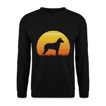 Kurzhaarcollie Kurzhaar Collie Umriss Sonne Retro - Unisex Pullover - Schwarz - Vorne - Alina (178cm) & Michal (187cm)