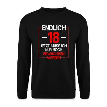 18 Geburtstag 18 Jahre Volljährig Erwachsen 18ter - Unisex Pullover - Schwarz - Vorne - Alina (178cm) & Michal (187cm)