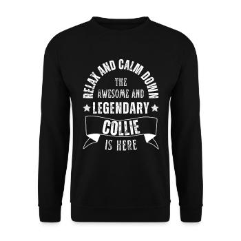 Relax my legendary Collie is here Retro - Unisex Sweatshirt - black - Front - Alina (178cm) & Michal (187cm)
