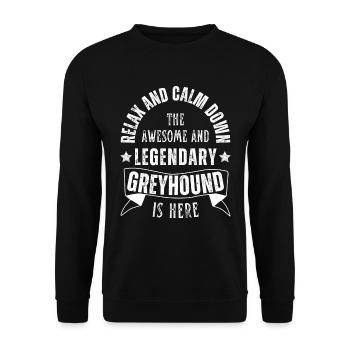 Legendary Greyhound Dog Retro Vintage - Unisex Sweatshirt - black - Front - Alina (178cm) & Michal (187cm)