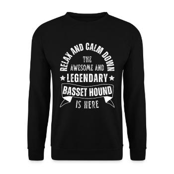 Relax my legendary Basset Hound is here Retro - Unisex Sweatshirt - black - Front - Alina (178cm) & Michal (187cm)