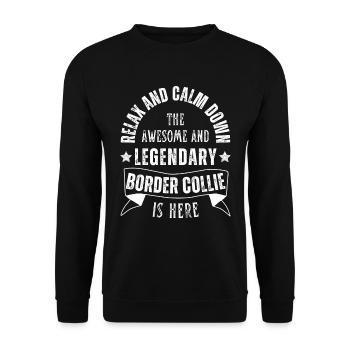 Relax my legendary Border Collie is here Retro - Unisex Sweatshirt - black - Front - Alina (178cm) & Michal (187cm)
