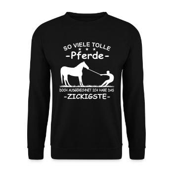 So viele tolle Pferde Führungskraft Pferd Reiterin - Unisex Pullover - Schwarz - Vorne - Alina (178cm) & Michal (187cm)