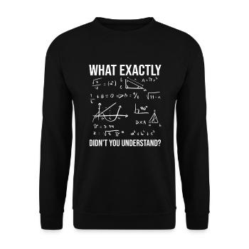 N’avez-vous pas compris la citation du professeur de mathématiques - Sweat-shirt Unisexe - noir - Devant - Alina (178cm) & Michal (187cm)