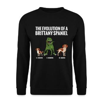 Die Evolution Eines Bretonischen Spaniel-hundes - Unisex Pullover - Schwarz - Vorne - Alina (178cm) & Michal (187cm)