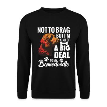 Ich Will Nicht Prahlen, Aber Ich Bin Irgendwie - Unisex Pullover - Schwarz - Vorne - Alina (178cm) & Michal (187cm)