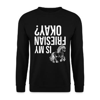 Ist Mein Friesian In Ordnung? - Unisex Pullover - Schwarz - Vorne - Alina (178cm) & Michal (187cm)