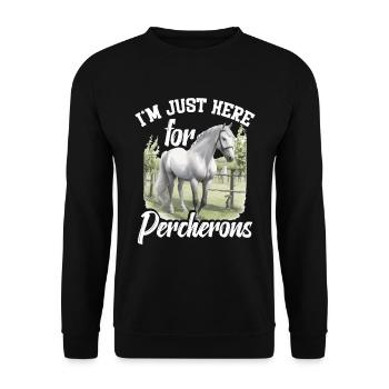 Ich Bin Nur Für Percherons Hier - Unisex Pullover - Schwarz - Vorne - Alina (178cm) & Michal (187cm)