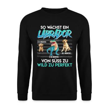 Labrador Hund SO WÄCHST EIN LABRADOR Lustiges - Unisex Pullover - Schwarz - Vorne - Alina (178cm) & Michal (187cm)