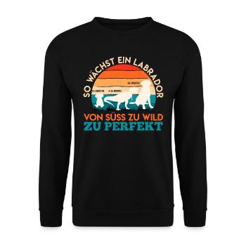 Labrador Hund SO WÄCHST EIN LABRADOR Lustiges - Unisex Pullover - Schwarz - Vorne - Alina (178cm) & Michal (187cm)