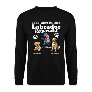 Hundebesitzer DIE EVOLUTION EINES LABRADOR - Unisex Pullover - Schwarz - Vorne - Alina (178cm) & Michal (187cm)