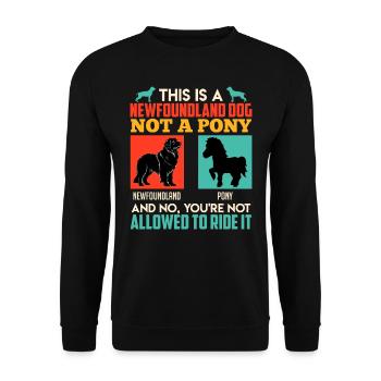Newfoundland NO PONY Funny Newfoundland - Unisex Sweatshirt - black - Front - Alina (178cm) & Michal (187cm)