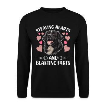 Chien Newfie VOLER DES CŒURS ET FAIRE EXPLOSER DES PETS - Sweat-shirt Unisexe - noir - Devant - Alina (178cm) & Michal (187cm)