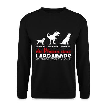 Propriétaire du Labrador LES PHASES D’UN LABRADOR Cool - Sweat-shirt Unisexe - noir - Devant - Alina (178cm) & Michal (187cm)