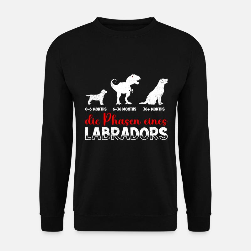 Labrador Besitzer DIE PHASEN EINES LABRADORS Cool - Unisex Pullover - Schwarz